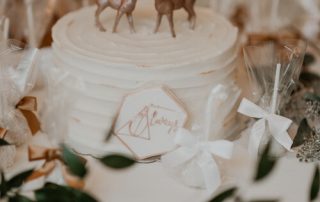 Henna+Hue+Photography_Fall+September+Indiana+Wedding_St+Joe+Farm_-1250 Stonegate Manor & Gardens Benton Harbor wedding venue